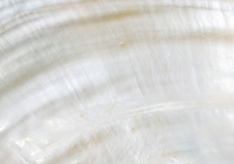 #Powercolours: mother of pearl