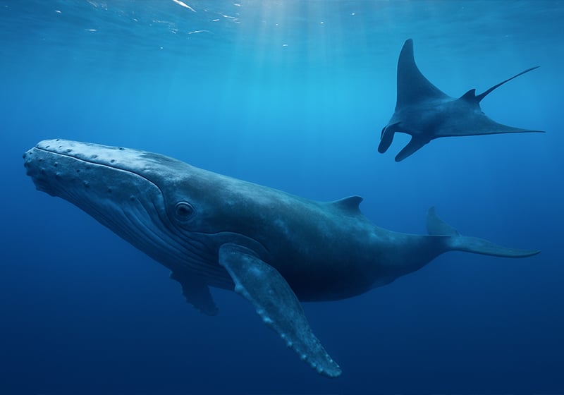 #Powercolours: the colour blue