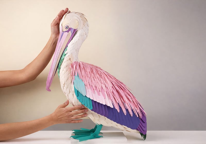 The fauna and flora of Diana Beltrán Herrera